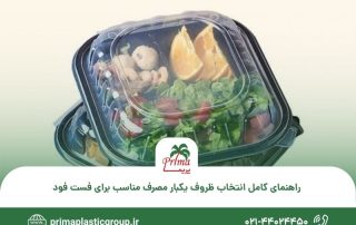 راهنمای کامل انتخاب ظروف یکبار مصرف مناسب برای فست فود
