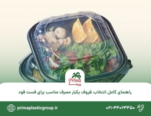 راهنمای کامل انتخاب ظروف یکبار مصرف مناسب برای فست فود